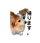 あげちょ。（個別スタンプ：20）