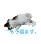 あげちょ。（個別スタンプ：22）