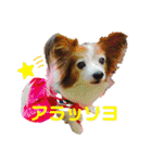 あげちょ。（個別スタンプ：24）