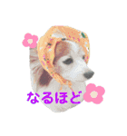 あげちょ。（個別スタンプ：26）