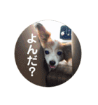あげちょ。（個別スタンプ：27）