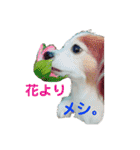 あげちょ。（個別スタンプ：28）