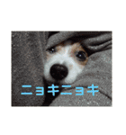 あげちょ。（個別スタンプ：31）