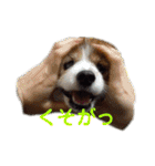 あげちょ。（個別スタンプ：32）