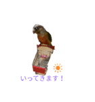 ウロコインコのういちゃん（個別スタンプ：4）