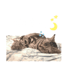 かわいいべいべー（個別スタンプ：13）