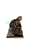 かわいいべいべー（個別スタンプ：21）