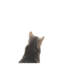 かわいいべいべー（個別スタンプ：33）