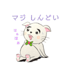 ねことらんでぶー（個別スタンプ：33）