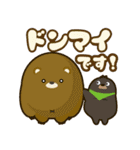 シンクシンク あいぼうスタンプ（個別スタンプ：19）