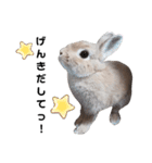 ぽこちゃんスタンプ第3段！★慰め編★（個別スタンプ：16）