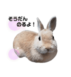 ぽこちゃんスタンプ第3段！★慰め編★（個別スタンプ：17）