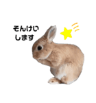 ぽこちゃんスタンプ第3段！★慰め編★（個別スタンプ：26）