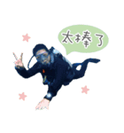 ジョニダイビング毎日（個別スタンプ：10）