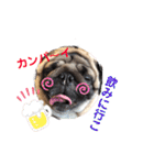 パグのげんこつ✊（個別スタンプ：8）