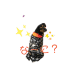 ビー柴はな②（個別スタンプ：15）