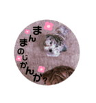 ププさんの日常（個別スタンプ：5）