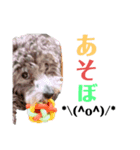 ププさんの日常（個別スタンプ：8）