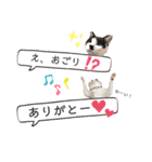 タマとマロ時々ミルク 2nd（個別スタンプ：23）
