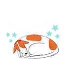 犬のいつもの一日.02（個別スタンプ：5）