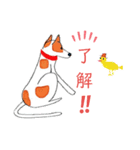 犬のいつもの一日.02（個別スタンプ：7）