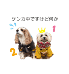 ショコラン＆シフォン（個別スタンプ：7）