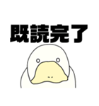 アヒルに見えるカモ。（個別スタンプ：3）