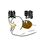 アヒルに見えるカモ。（個別スタンプ：8）