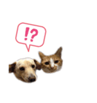 ふくももあんず♡（個別スタンプ：8）