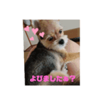 すず姫③（個別スタンプ：1）
