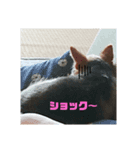 すず姫③（個別スタンプ：3）