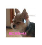 すず姫③（個別スタンプ：4）