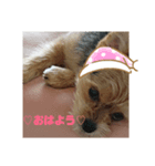 すず姫③（個別スタンプ：5）