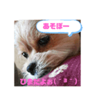 すず姫③（個別スタンプ：7）
