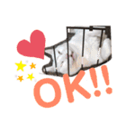 Kのスタンプ2（個別スタンプ：8）