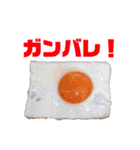 リアルな食べ物で日常会話（個別スタンプ：18）