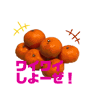 リアルな食べ物で日常会話（個別スタンプ：19）