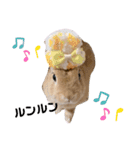 うさぎ仲間スタンプ（個別スタンプ：2）