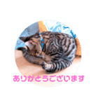 キキちゃんの毎日使えるスタンプ（個別スタンプ：2）