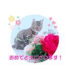 キキちゃんの毎日使えるスタンプ（個別スタンプ：8）