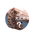 キキちゃんの毎日使えるスタンプ（個別スタンプ：9）
