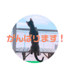 キキちゃんの毎日使えるスタンプ（個別スタンプ：11）