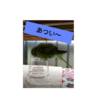 鳥さんのピーちゃんのスタンプ第3段（個別スタンプ：8）