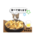 mon*habi猫スタンプ 5（個別スタンプ：1）