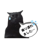 mon*habi猫スタンプ 5（個別スタンプ：7）