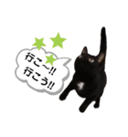 mon*habi猫スタンプ 5（個別スタンプ：11）