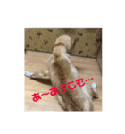 ザウルス7（個別スタンプ：6）