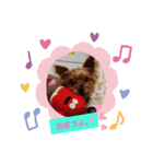 ヨーキーはるのスタンプ（個別スタンプ：6）