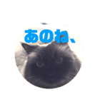 ヒマラヤンのフォークス（個別スタンプ：9）