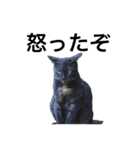 飼い猫と野良猫（個別スタンプ：10）